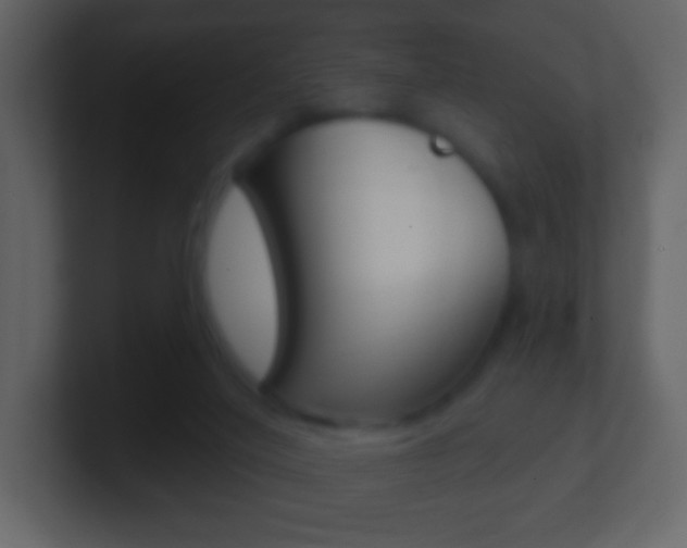 X0000101450020200807071120