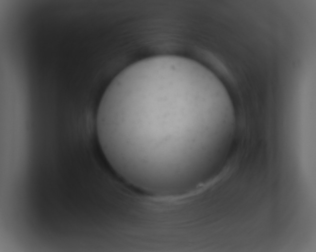 X0000101450025200807071120