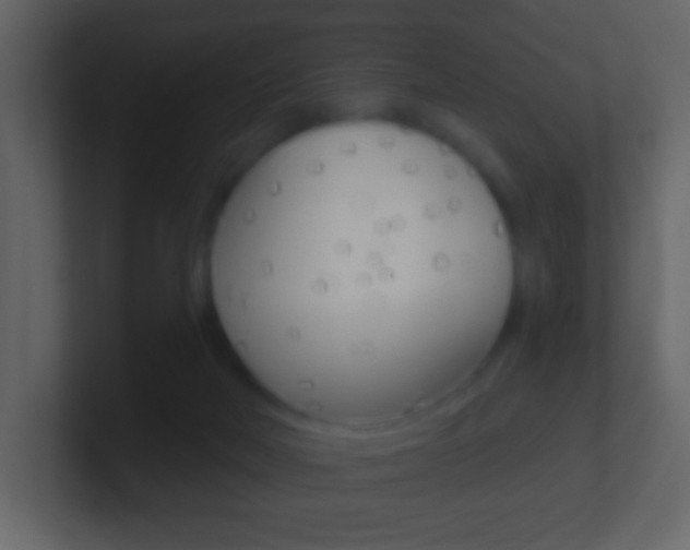 X0000101450026200807071120