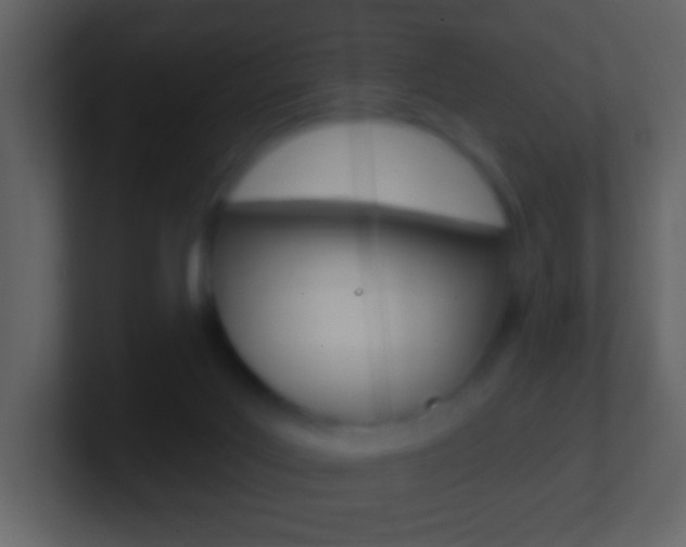 X0000101450027200807071120