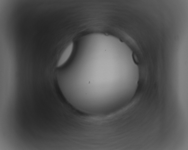 X0000101450029200807071120