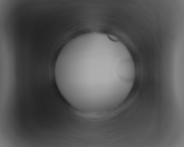 X0000101450030200807071120