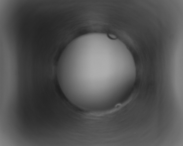 X0000101450033200807071120