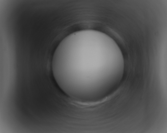 X0000101450035200807071120