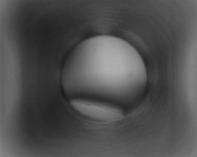 X0000101450036200807071120