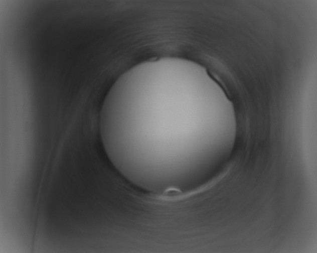 X0000101450037200807071120