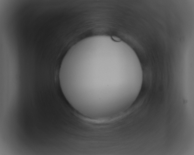 X0000101450038200807071120