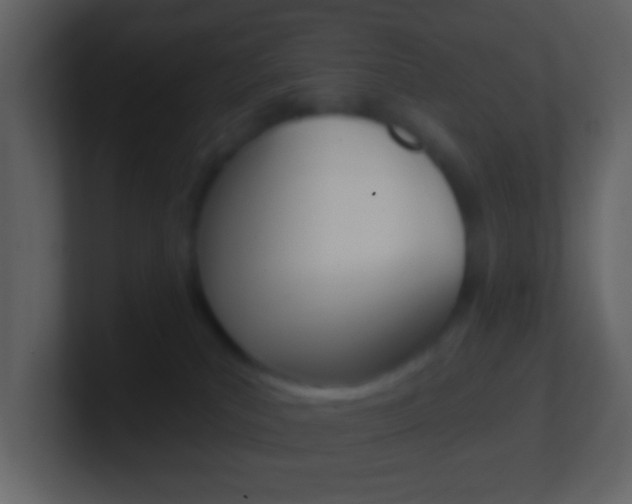 X0000101450039200807071120