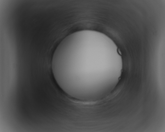 X0000101450040200807071120