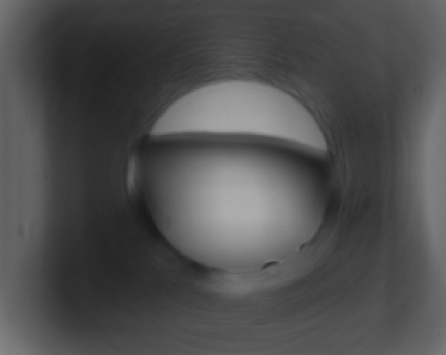 X0000101450041200807071120