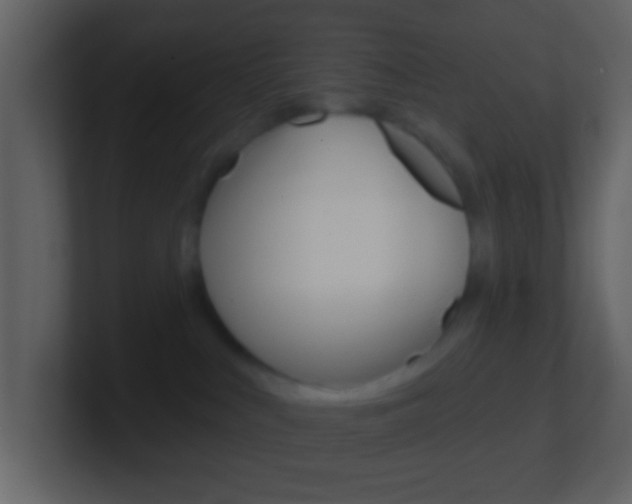 X0000101450043200807071120