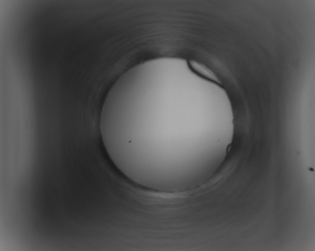 X0000101450044200807071120