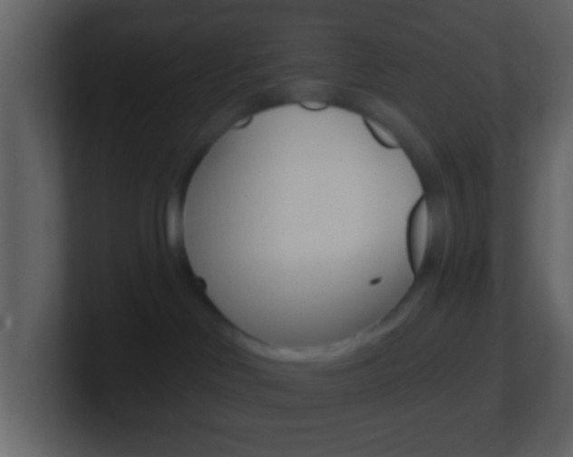 X0000101450046200807071120