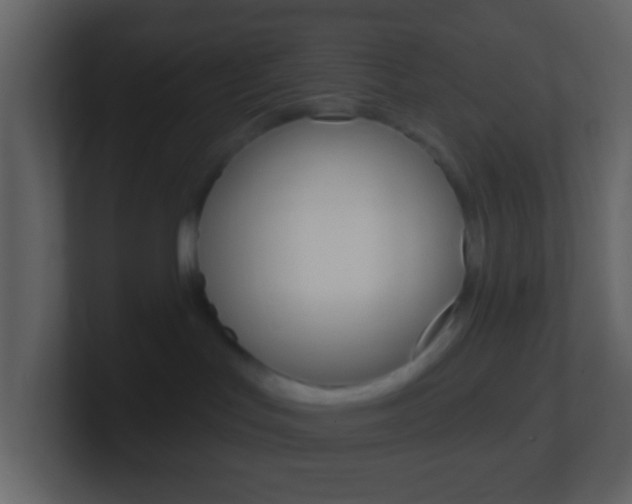 X0000101450047200807071120