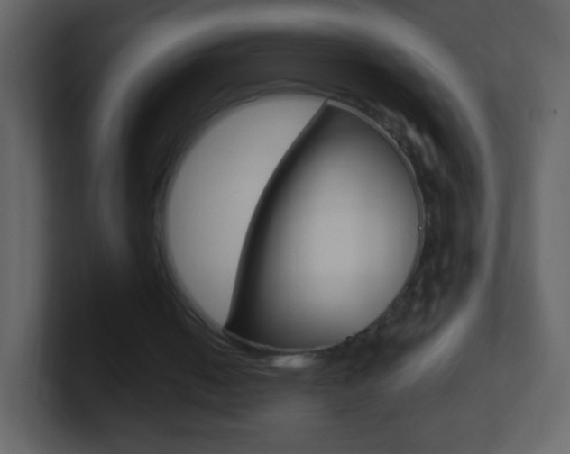X0000101450050200807071119