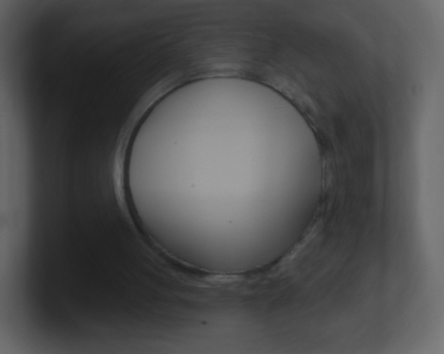 X0000101450051200807071119