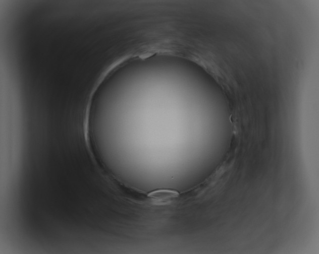 X0000101450052200807071119