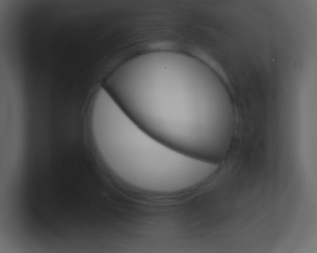 X0000101450061200807071119