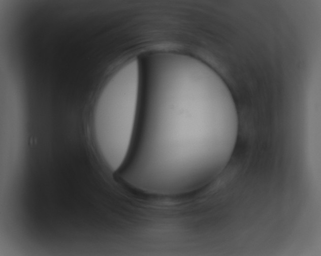 X0000101450062200807071119
