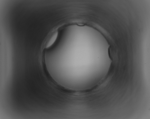 X0000101450064200807071119