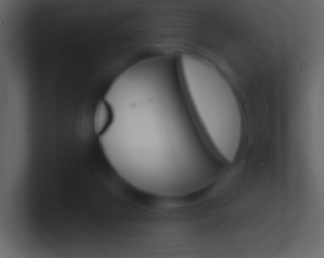 X0000101450073200807071120