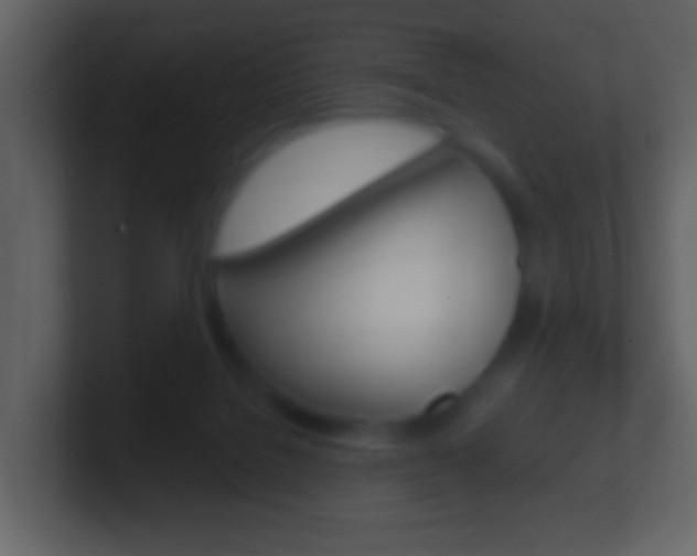 X0000101450076200807071120