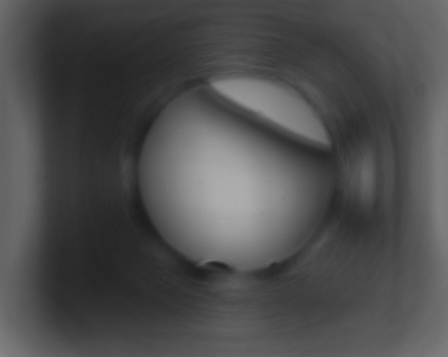 X0000101450077200807071120