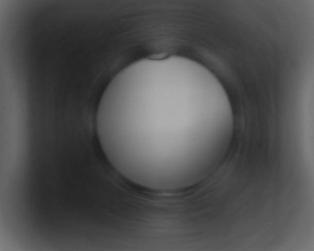 X0000101450081200807071120