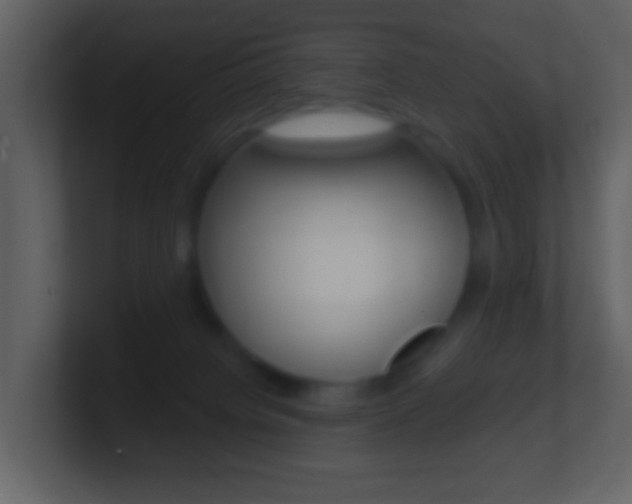 X0000101450084200807071120
