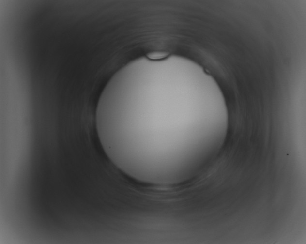 X0000101450085200807071120