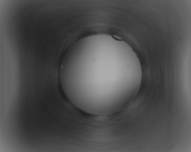 X0000101450088200807071120