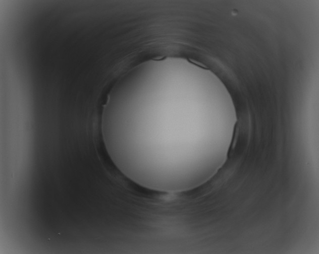 X0000101450092200807071120