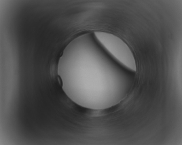 X0000101450093200807071120