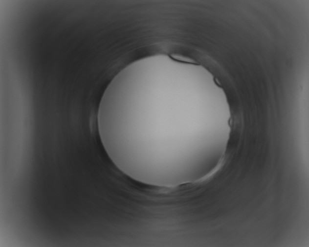 X0000101450094200807071120