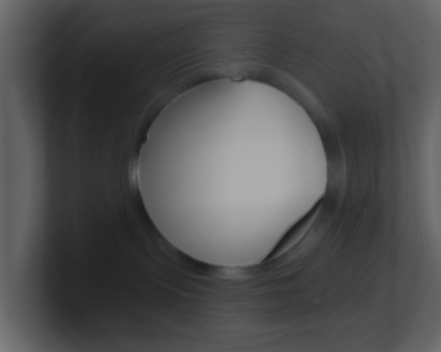 X0000101450095200807071120