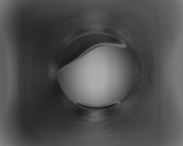 X0000101450096200807071120