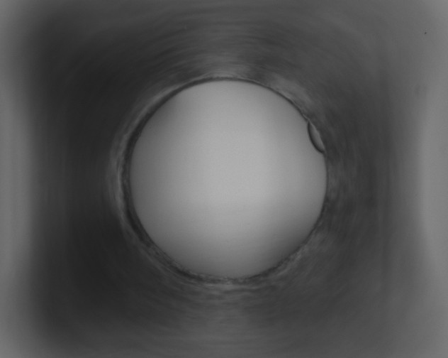 X0000101450098200807071119