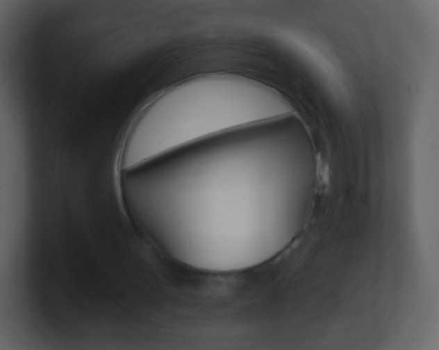 X0000101450099200807071119