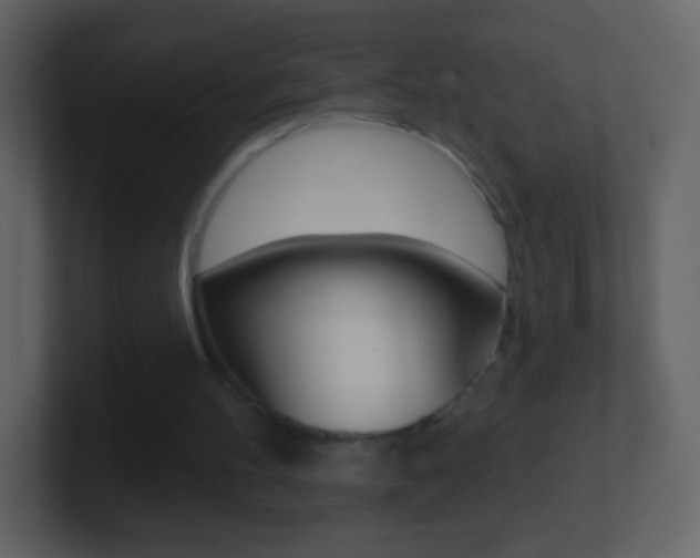 X0000101450100200807071119