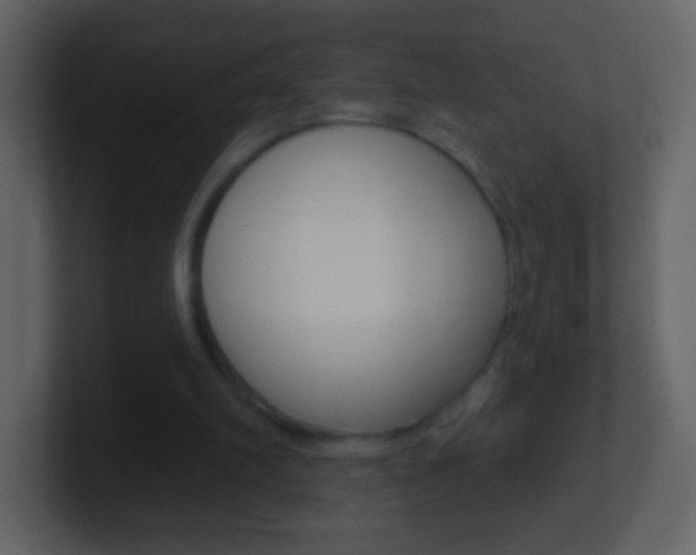 X0000101450102200807071119