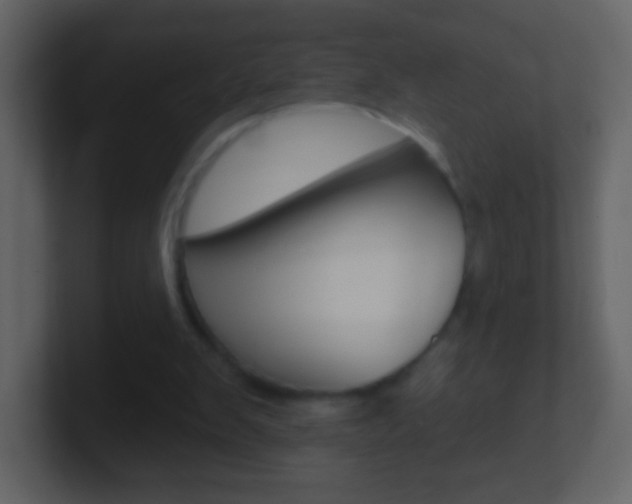 X0000101450103200807071119