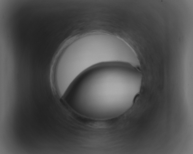 X0000101450104200807071119