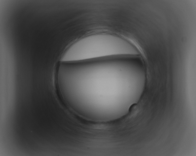 X0000101450105200807071119
