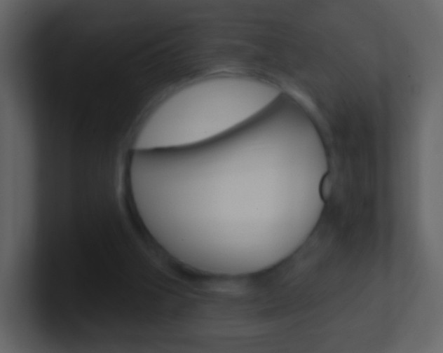 X0000101450106200807071119