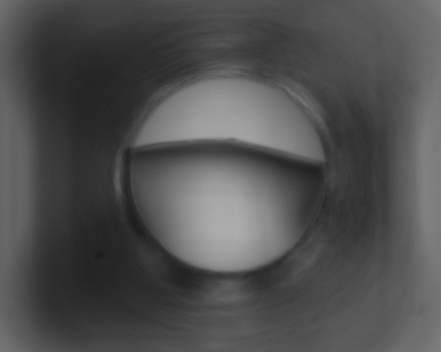 X0000101450107200807071119