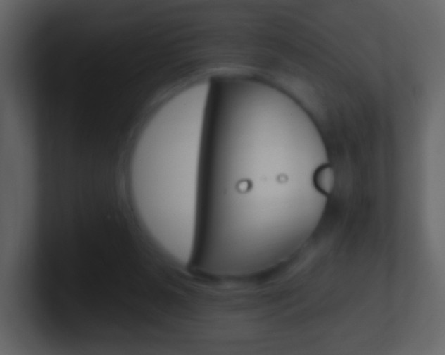 X0000101450111200807071119