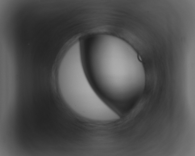 X0000101450112200807071119