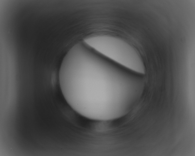 X0000101450122200807071119