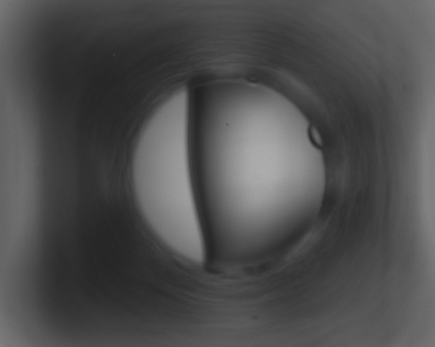 X0000101450124200807071119