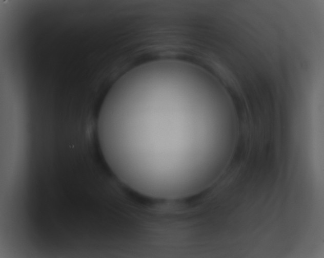X0000101450125200807071119